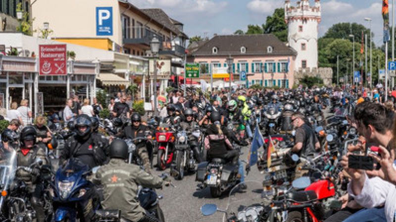 Highlights der Saison