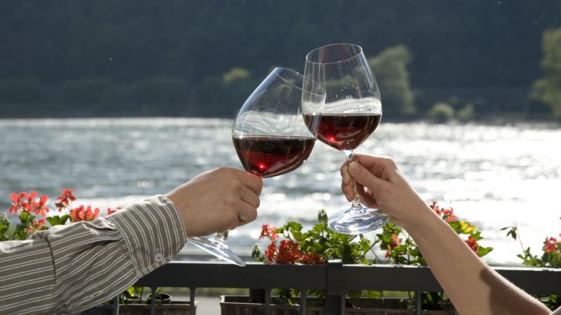 Rediscover wine