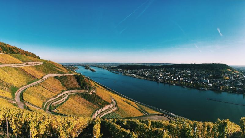 Wandern, Wein 